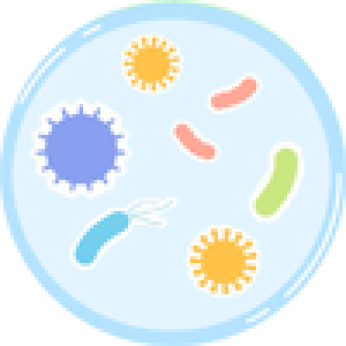 枯草芽孢杆菌 Bacillus subtilis  CMCC(B)63501